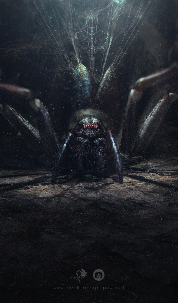 Огромный паук в своем логове