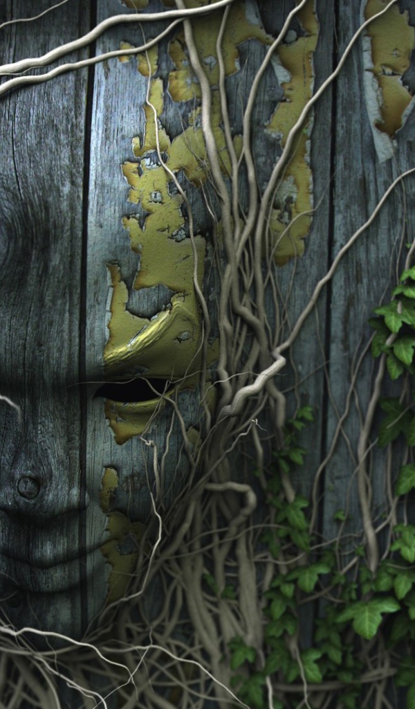 Лицо на деревянном заборе, увитое плющом