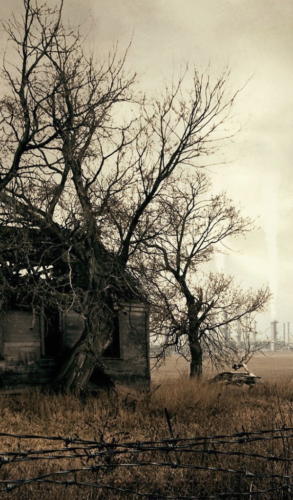 Заброшенный дом в опасной зоне