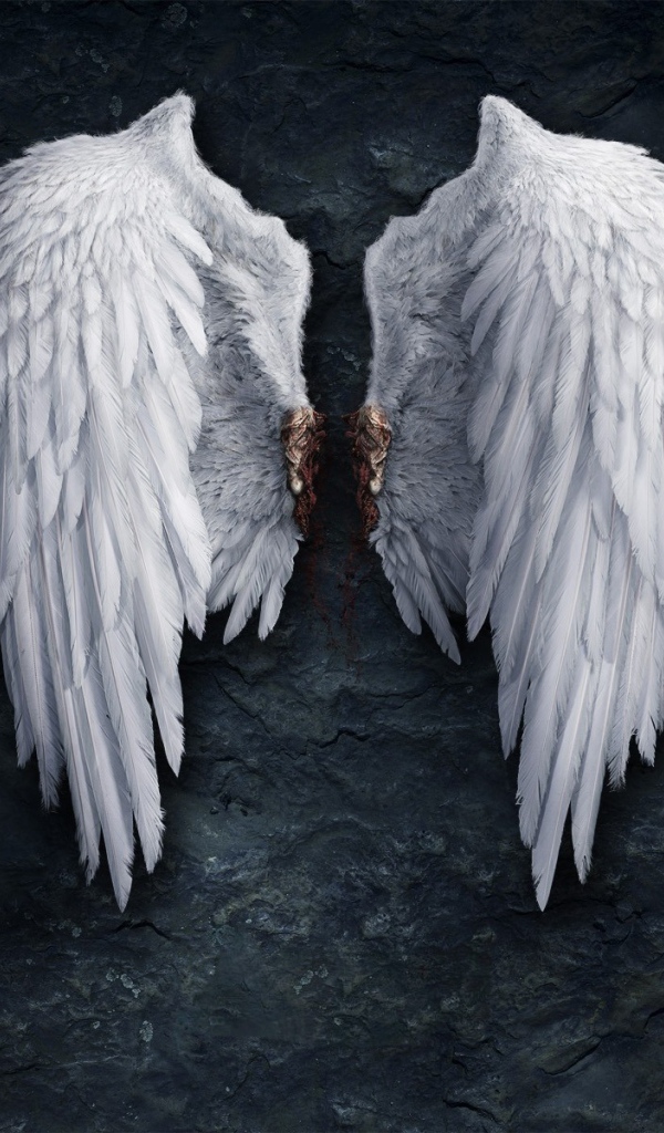 Крылья ангела на черном фоне