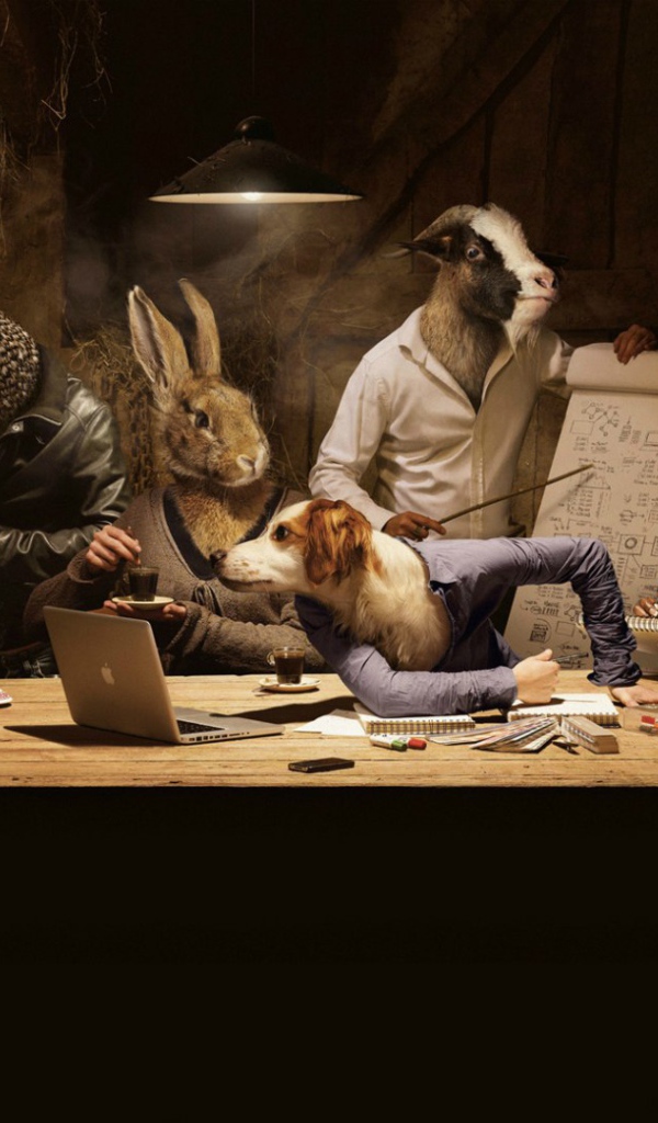 Животные на совещании