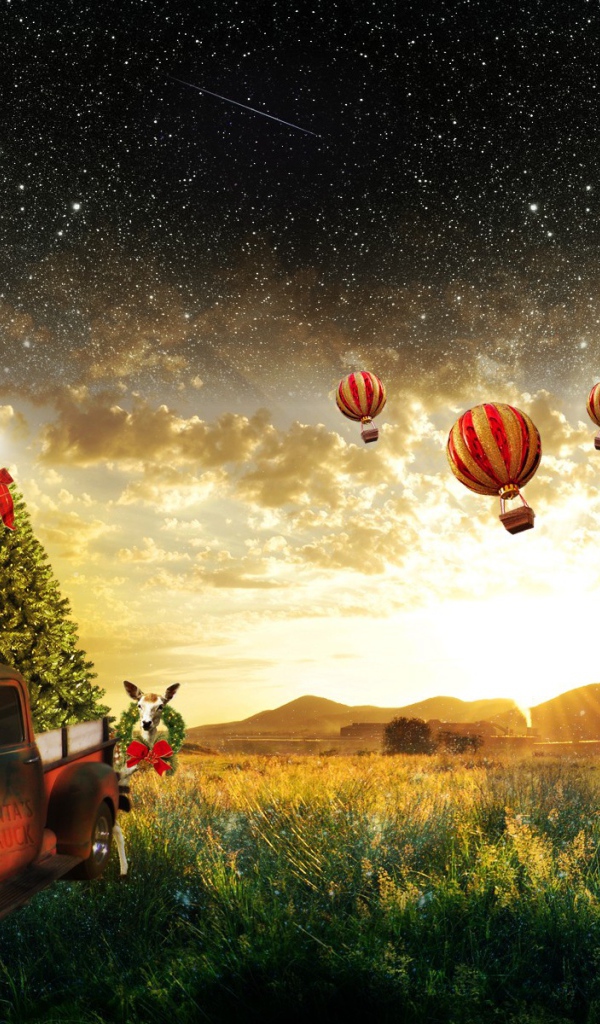 Воздушные шары улетают к звездам