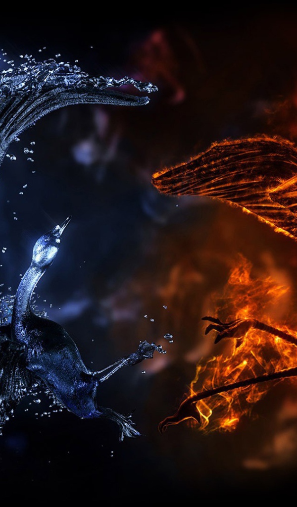 Сражение огненного и водного драконов