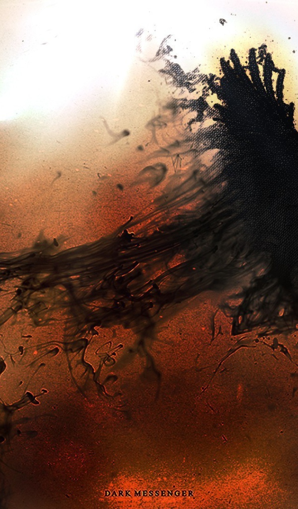 Птица из мрака