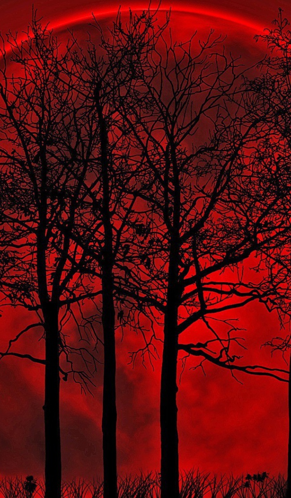Кровавая луна позади деревьев