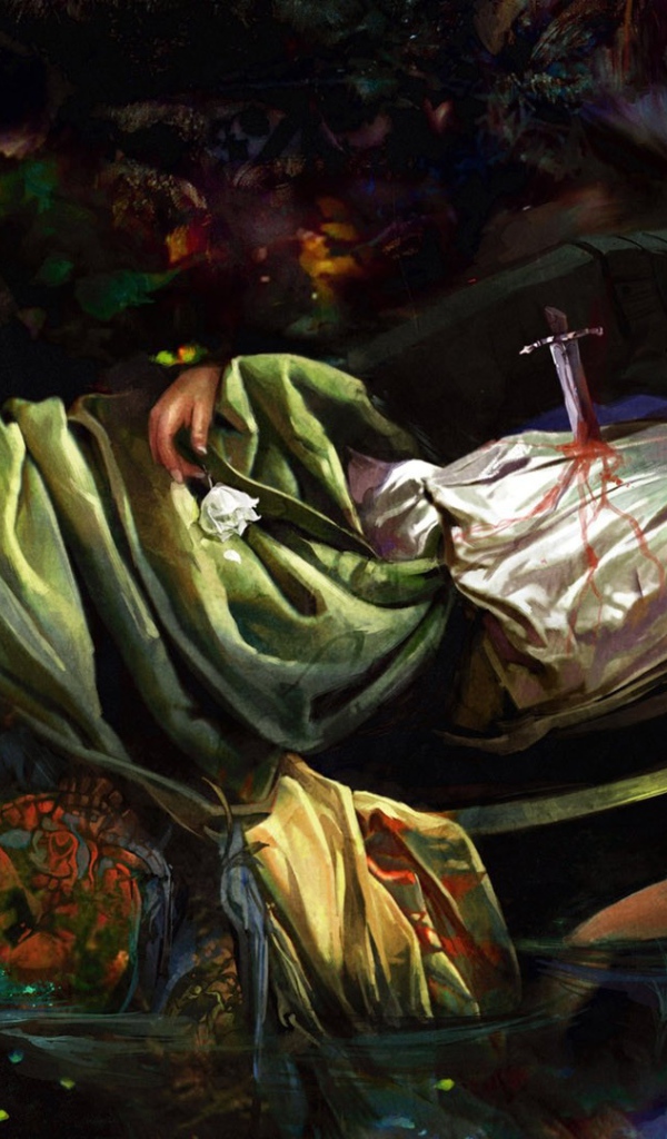 Сломанный клинок в груди у принцессы