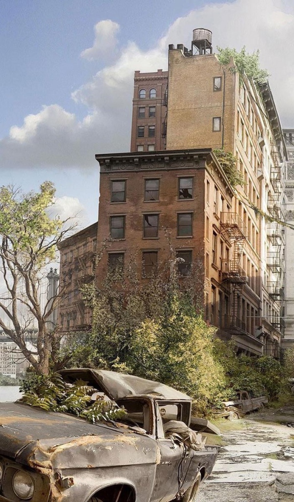 Разбитые и заброшенные дома в Нью-Йорке