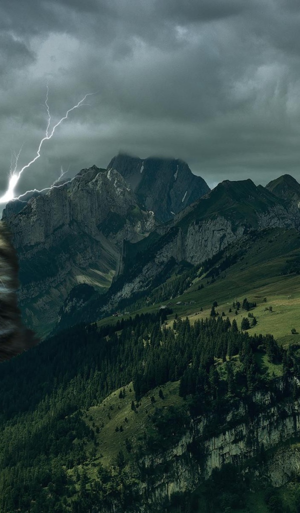 Кот в короне среди гор