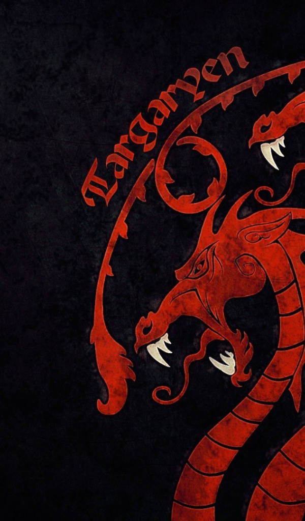 Китайский дракон на черном фоне