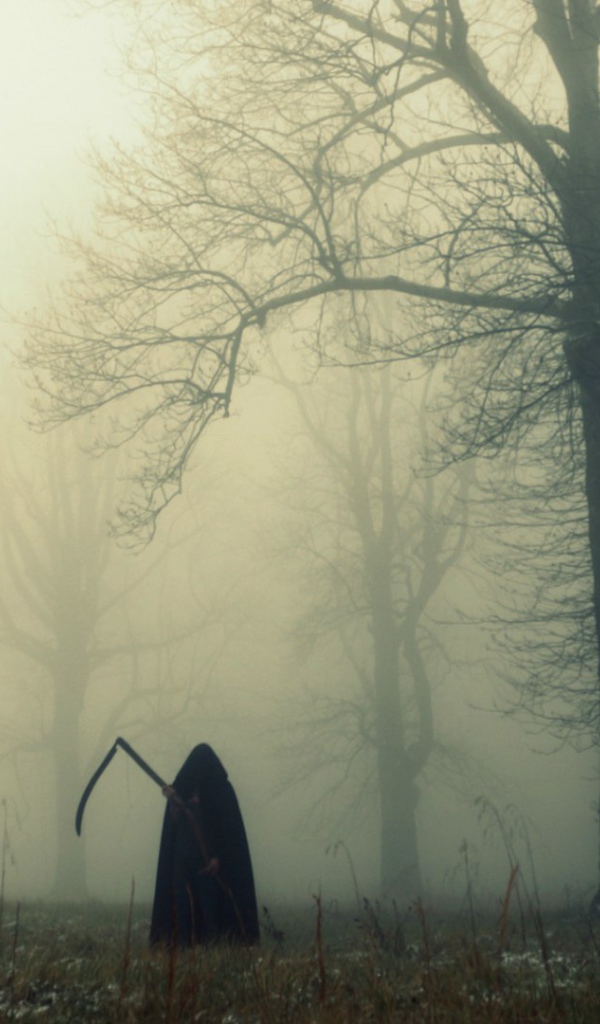 Смерть в темном лесу