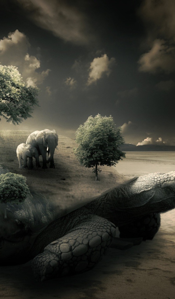 Слоны на черепахе на берегу моря