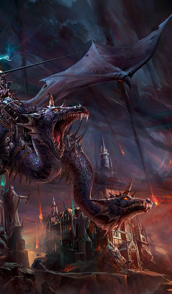 Чародейка оседлала дракона, фэнтези