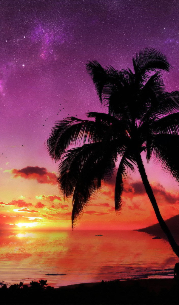 Фантастическое небо над южным морем