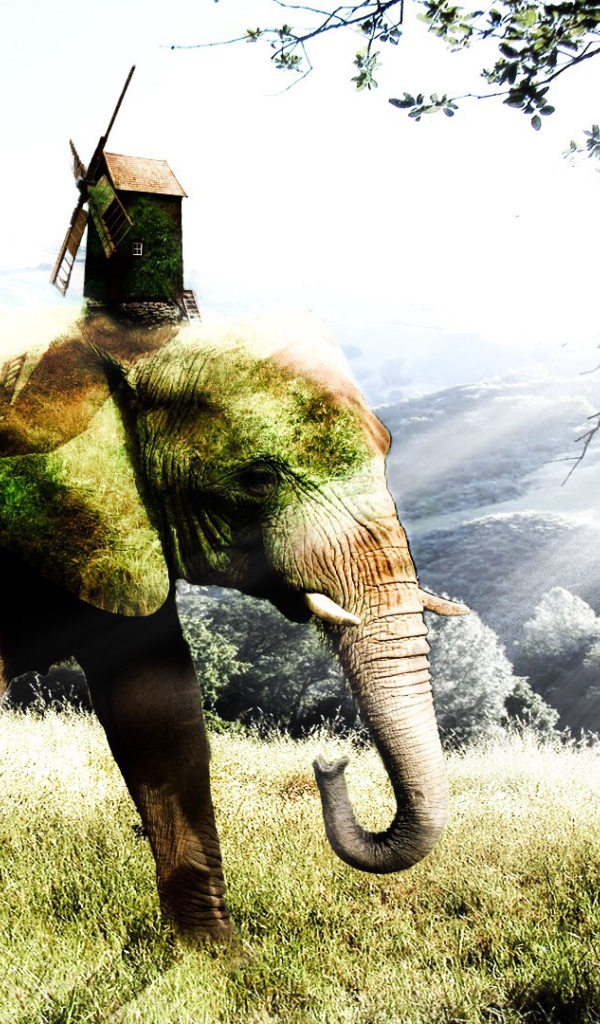 Покрытый мхом слон