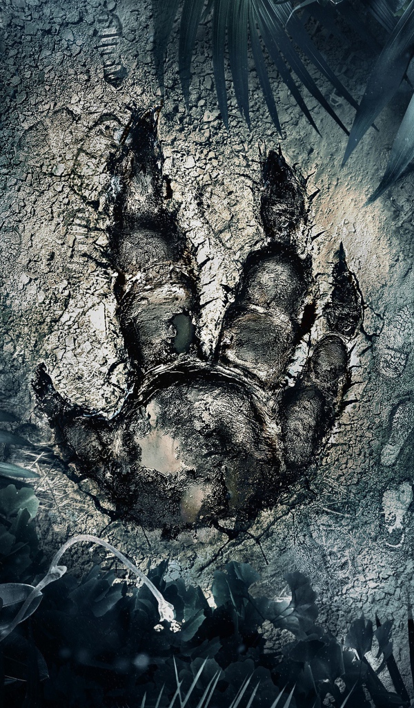 След загадочного зверя