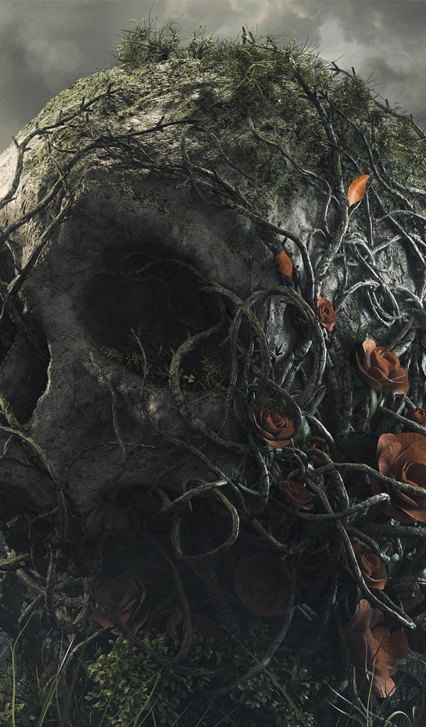 Поросший лианами большой череп