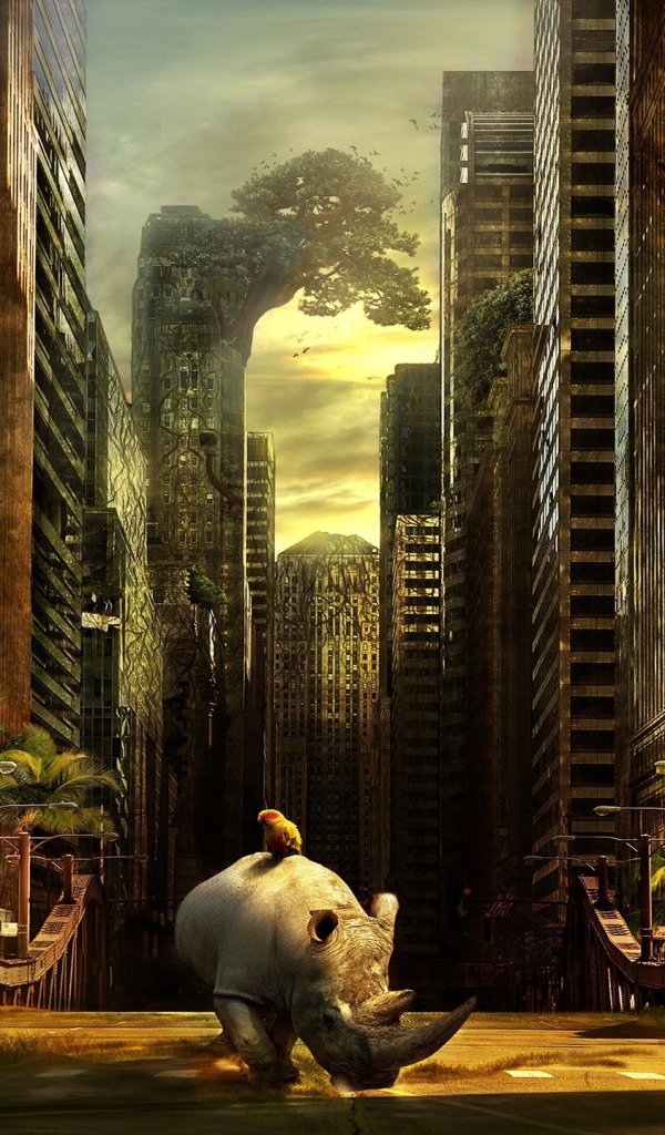 Носорог гуляет в брошенном городе