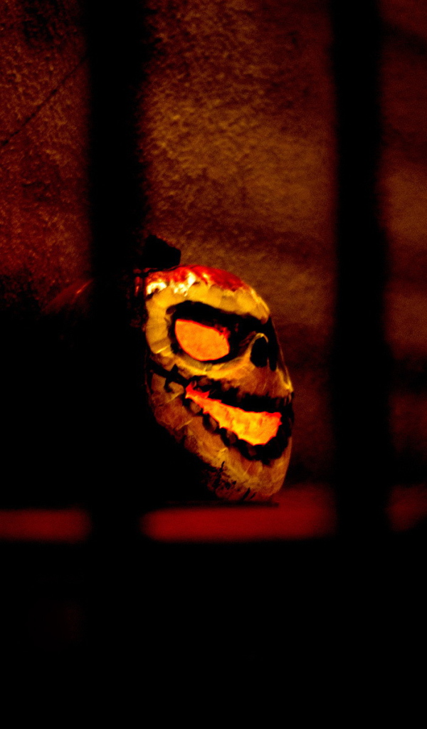 Страшная маска за решеткой