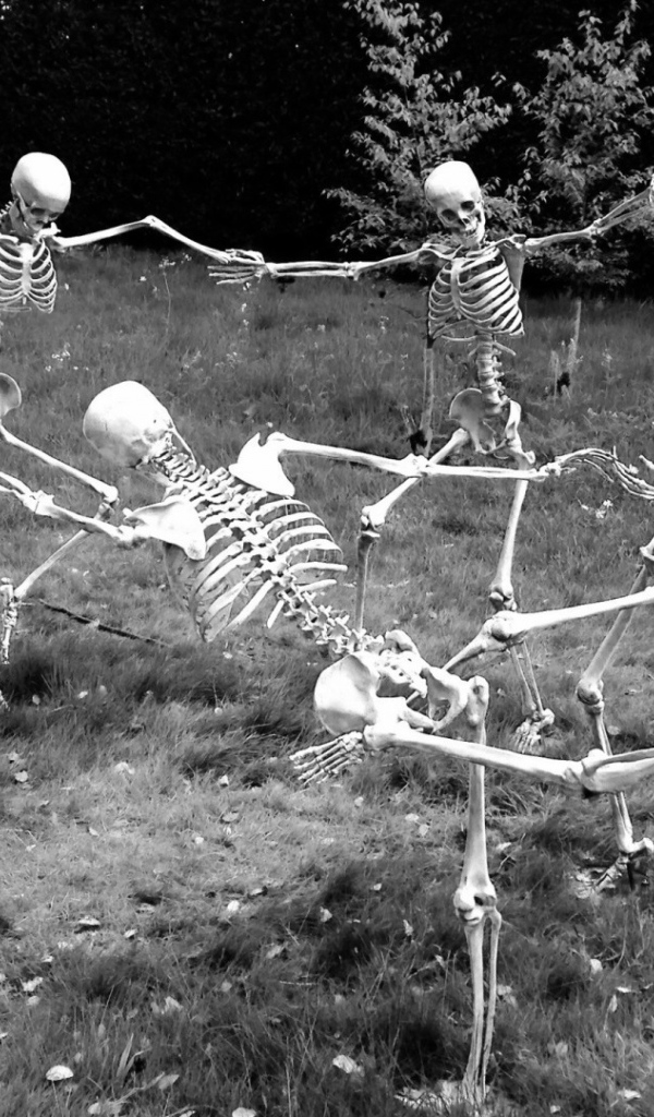 Скелеты водят хоровод
