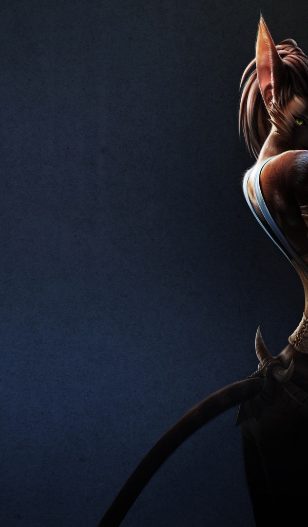 Девушка кошка, фэнтези