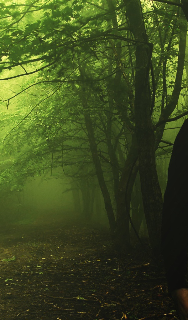 Человек с головой волка