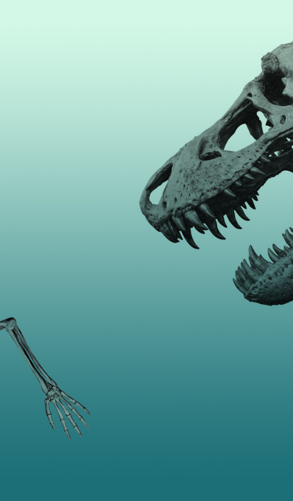 Скелет динозавра гонится за скелетом человека