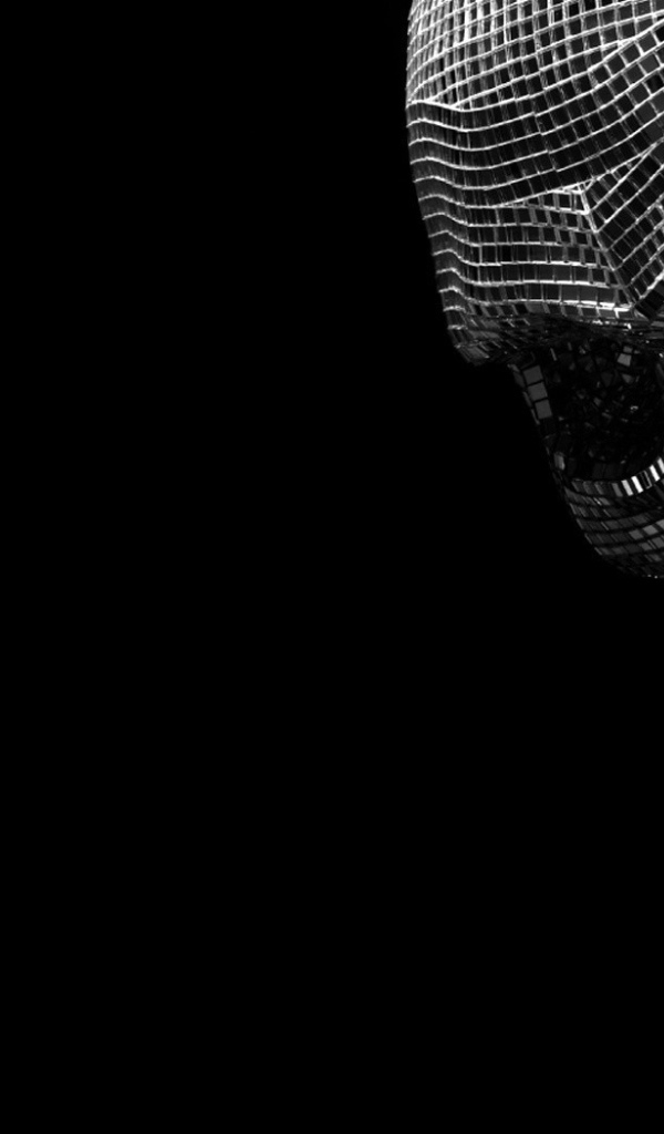 Череп из зеркальных кристаллов