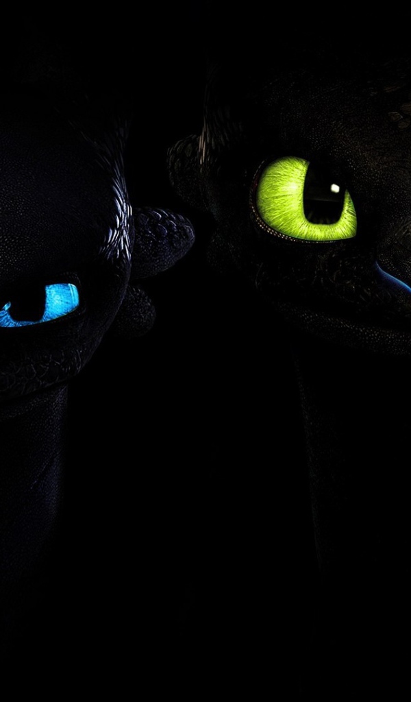 Два малыша черного дракона