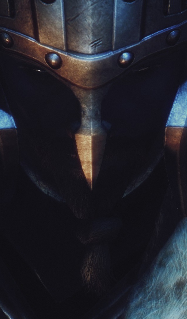 Воин в шлеме и мехах