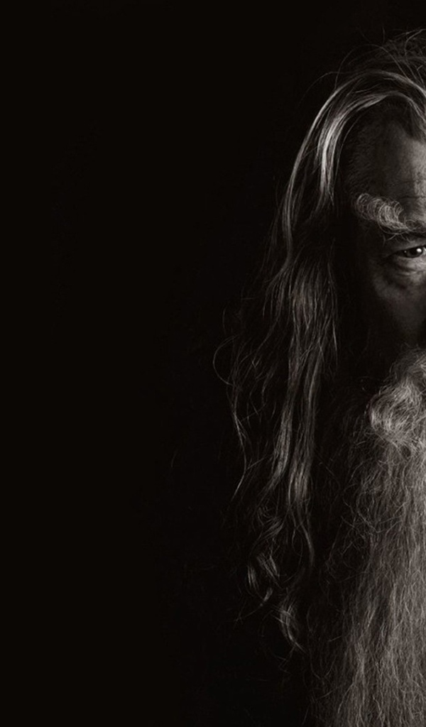 Мудрый старик Гендальф