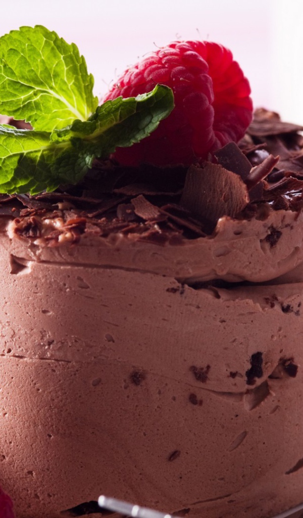 Воздушный шоколадный десерт с малиной