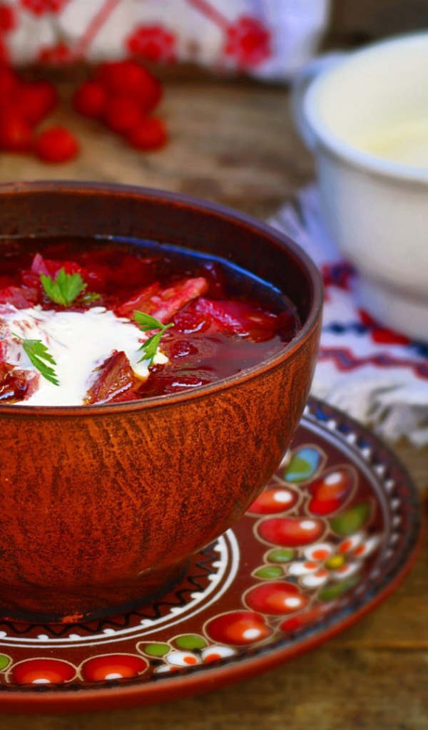 Тарелка ароматного борща