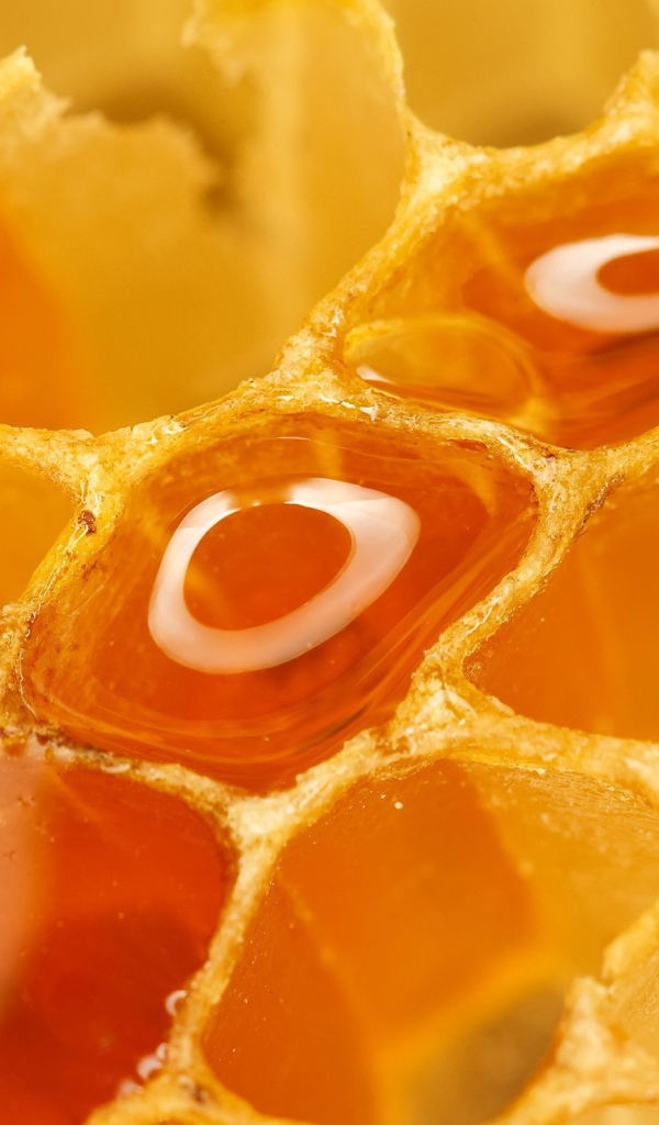 Полные соты меда