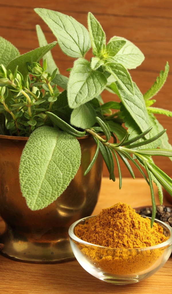 Мята и сухие специи для кулинарии
