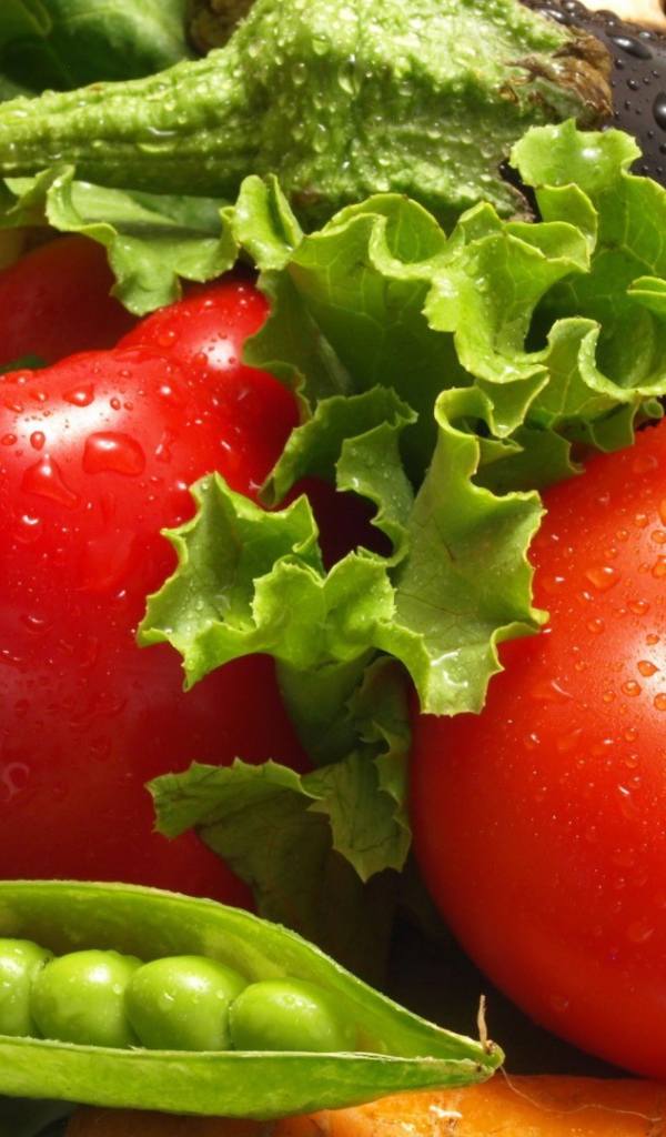 Овощи для весеннего салата