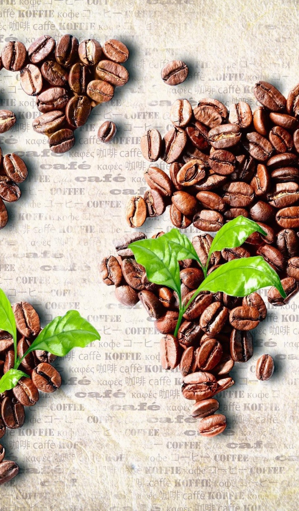 Карта мира из зерен кофе