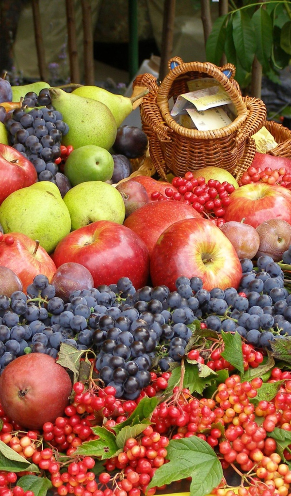 Гора из ягод и фруктов