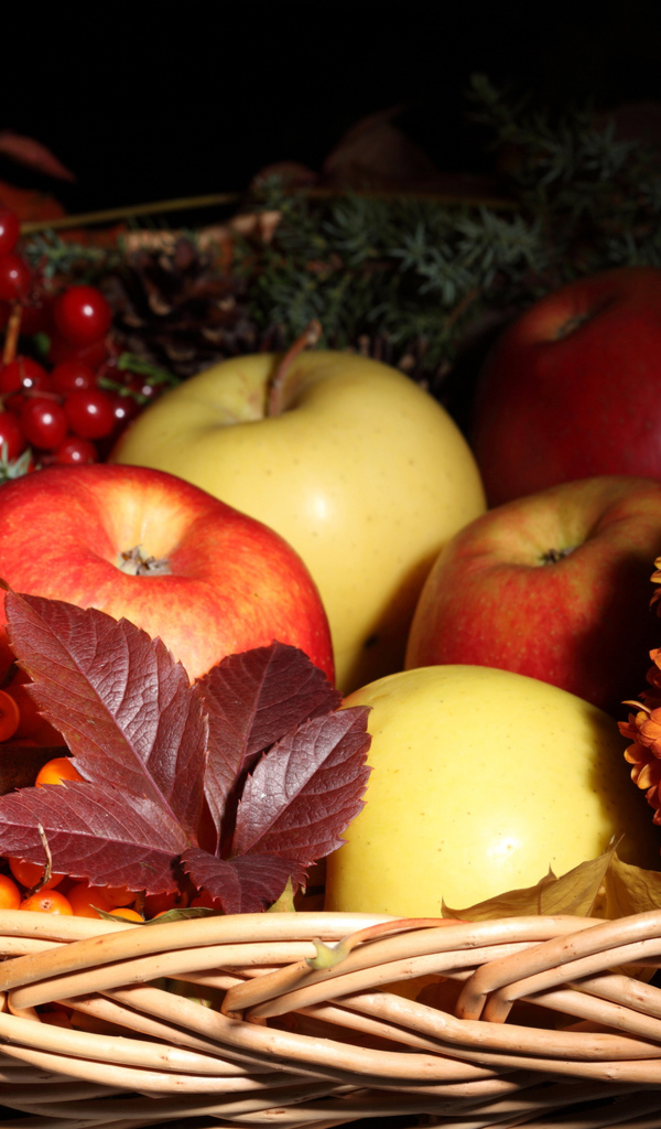 Яблоки и ягоды в корзине