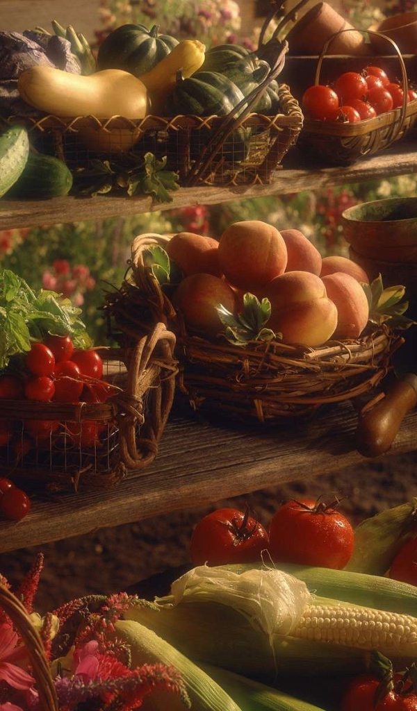 Плоды осени в корзинах на полках