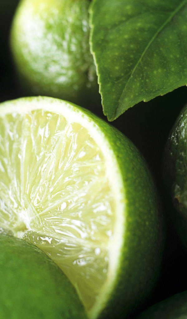 Листик на лаймах