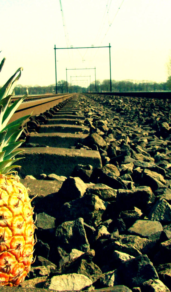 Ананас у рельса