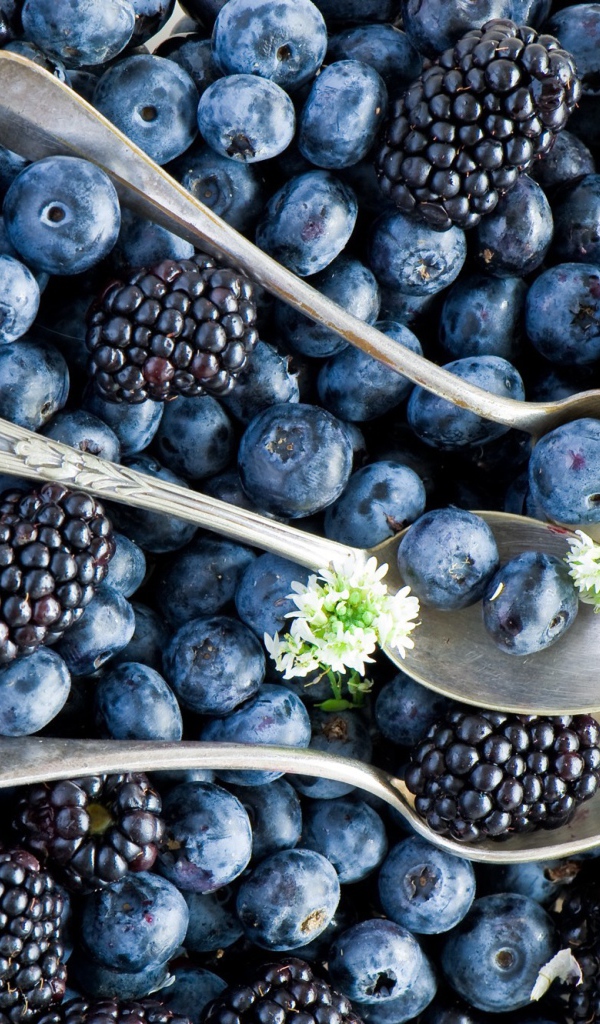 Ложки среди ягод черники и ежевики