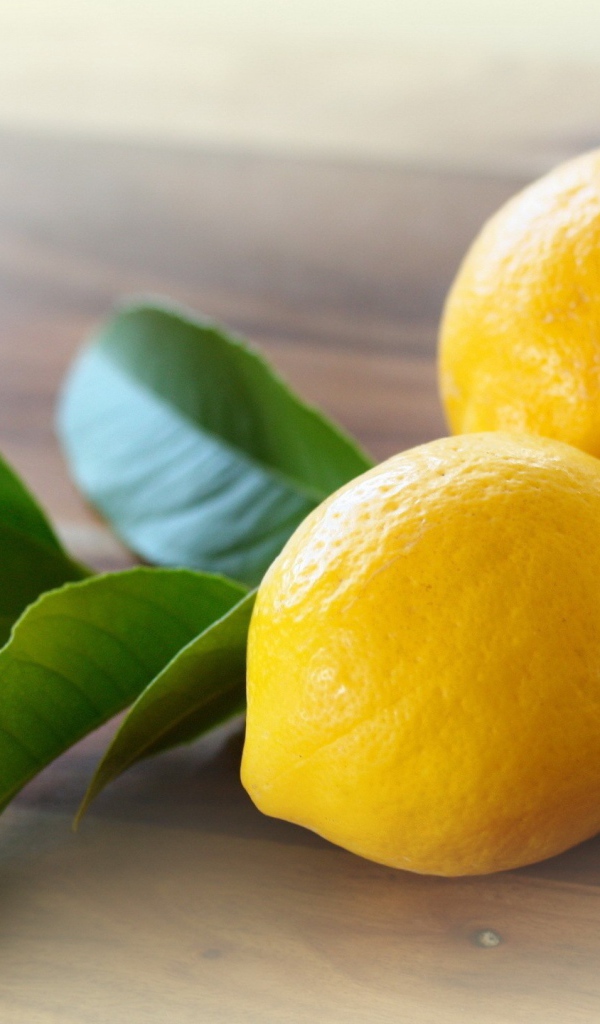 Три лимона с веточкой дерева