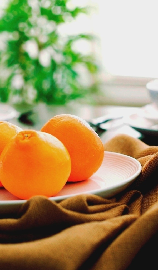 Три апельсина на белой тарелке