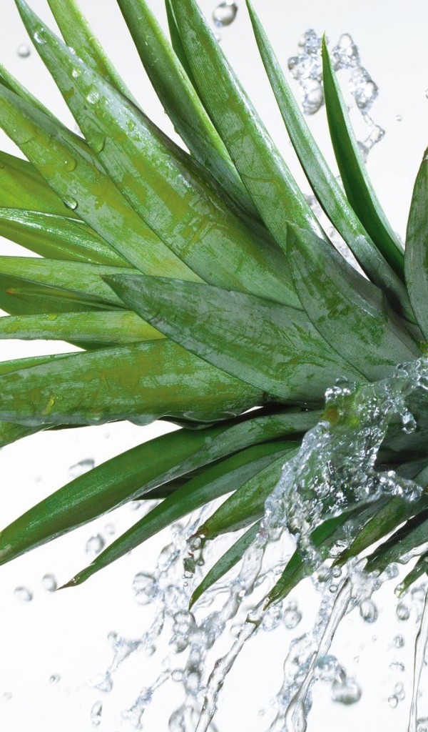 Вода льется на ананас