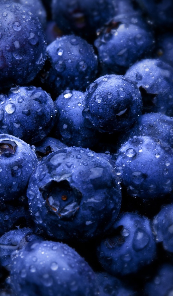Влажные ягоды черники