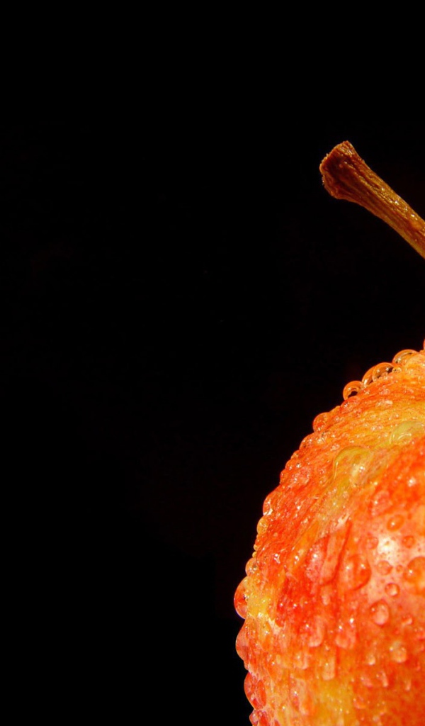 Влажное оранжевое яблоко на черном фоне