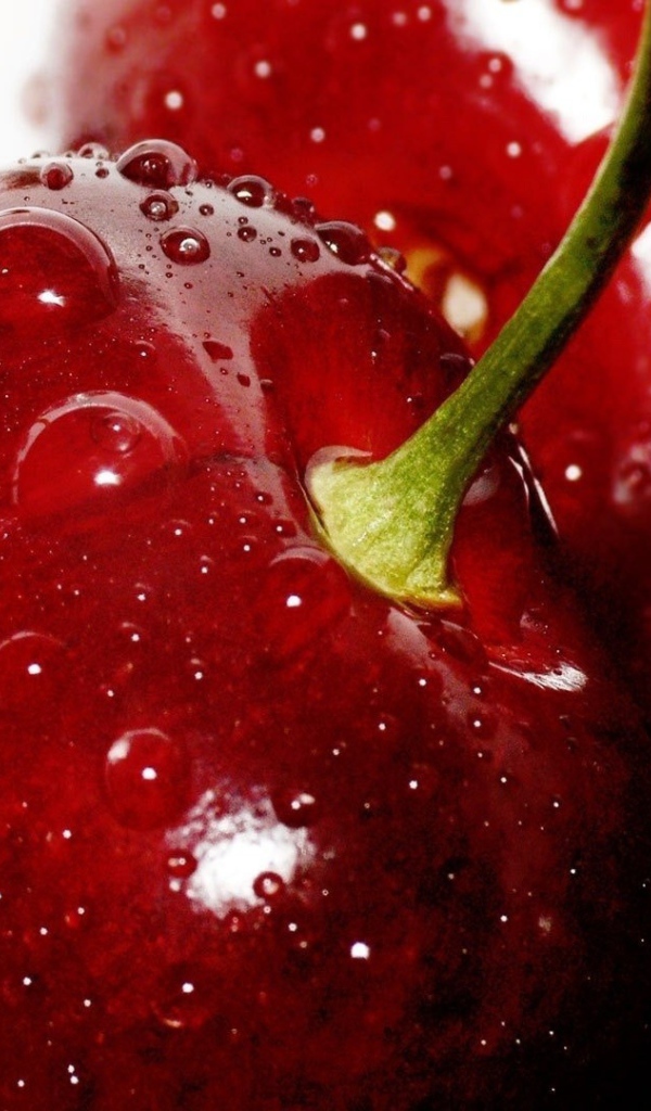 Мокрые спелые вишни