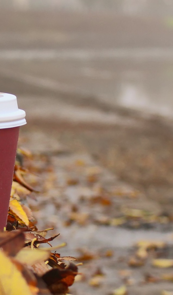 Стакан кофе из Старбакс среди листьев