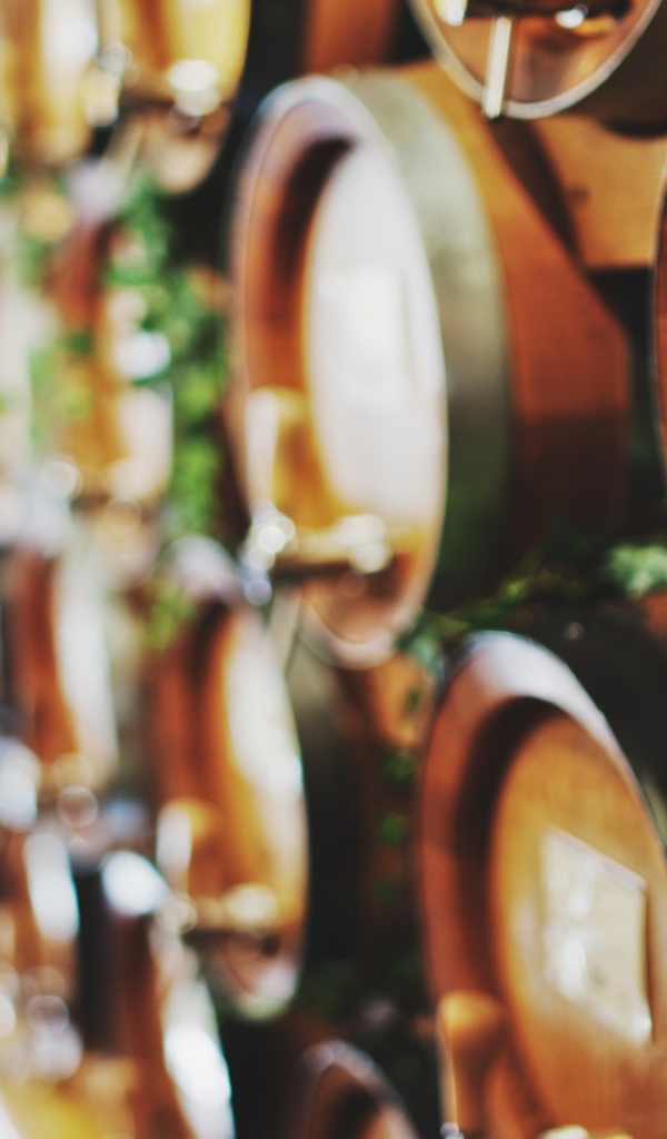 Бочки со старым вином